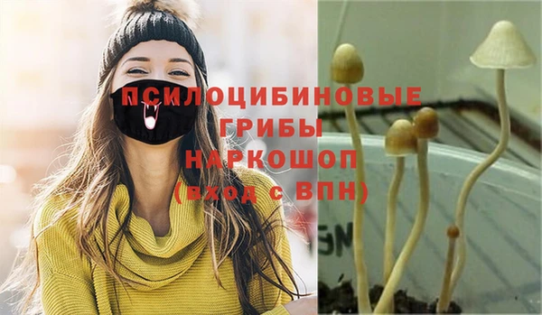 твердый Нязепетровск