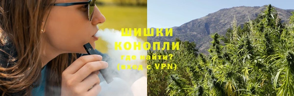 Альфа ПВП Пересвет