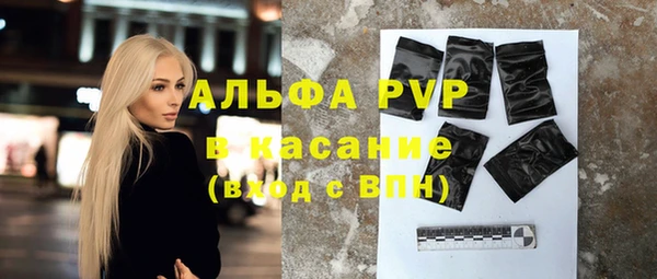 сатива Переславль-Залесский