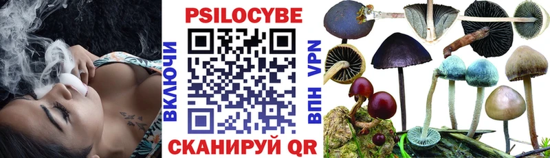 сколько стоит  Лебедянь  Галлюциногенные грибы Psilocybine cubensis 